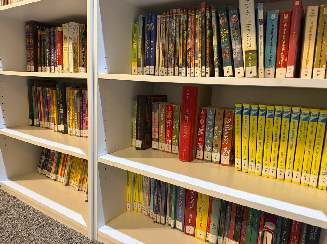 Chapter book library